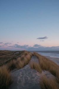Dünen Nordholland Friesland