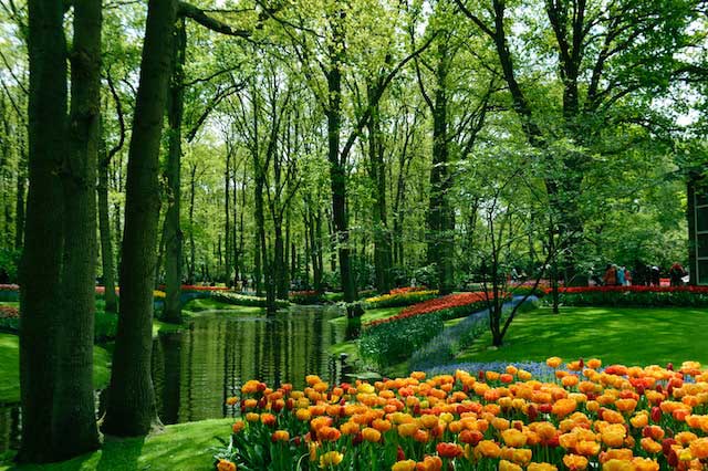 Nationalpark Niederlande