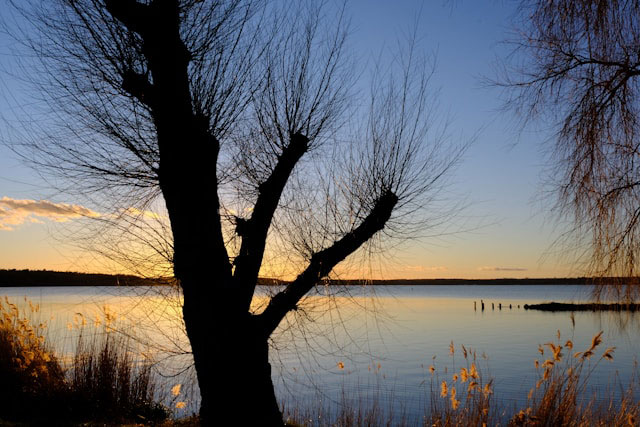 Natur Müritz Nationalpark